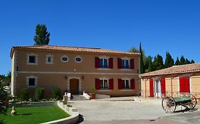 Luciole des Alpilles